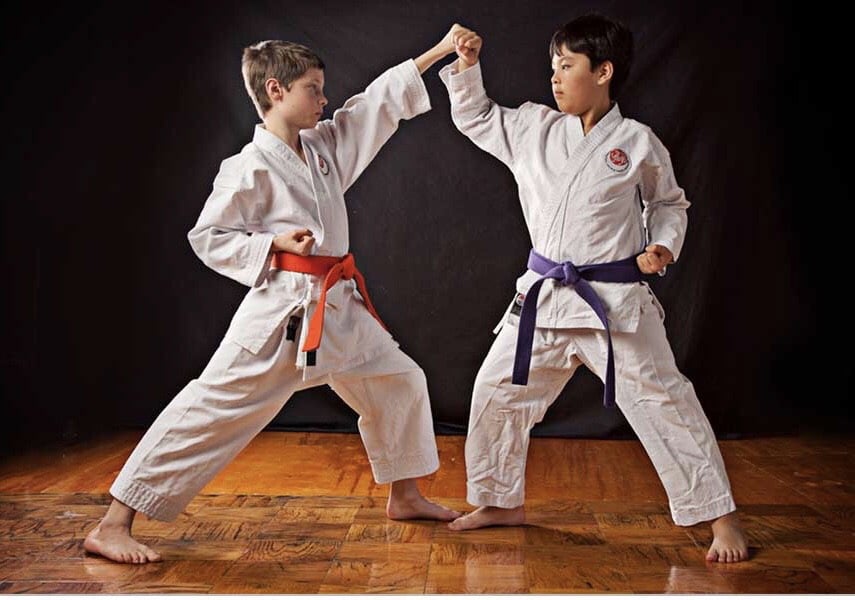 Karate Kursu